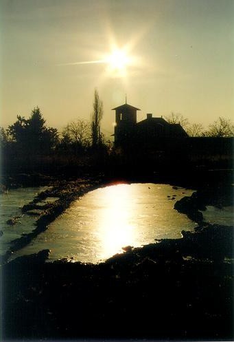 Kaluž